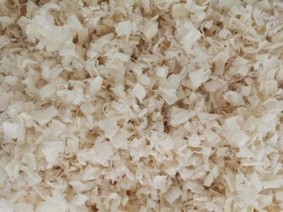 Comfortable Wood Shavings Sawdust Moisture Absorption Widely Used For Poultry