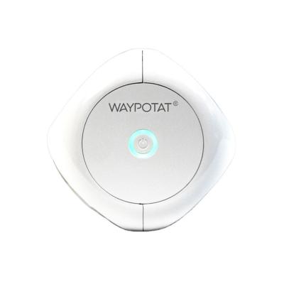 Wall Mounted  Portable Air Sterilizers Kill Mites Allergens  H1N1 For Large Room Up To 100sqm