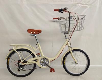 20 Inches Front Big Basket For Pet Carriage Lady City Bike Fashion Design