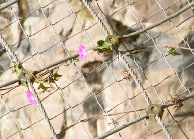 PVC Coated Rockfall Protection Netting SNS Flexible Slope Stabilization Rope Netting